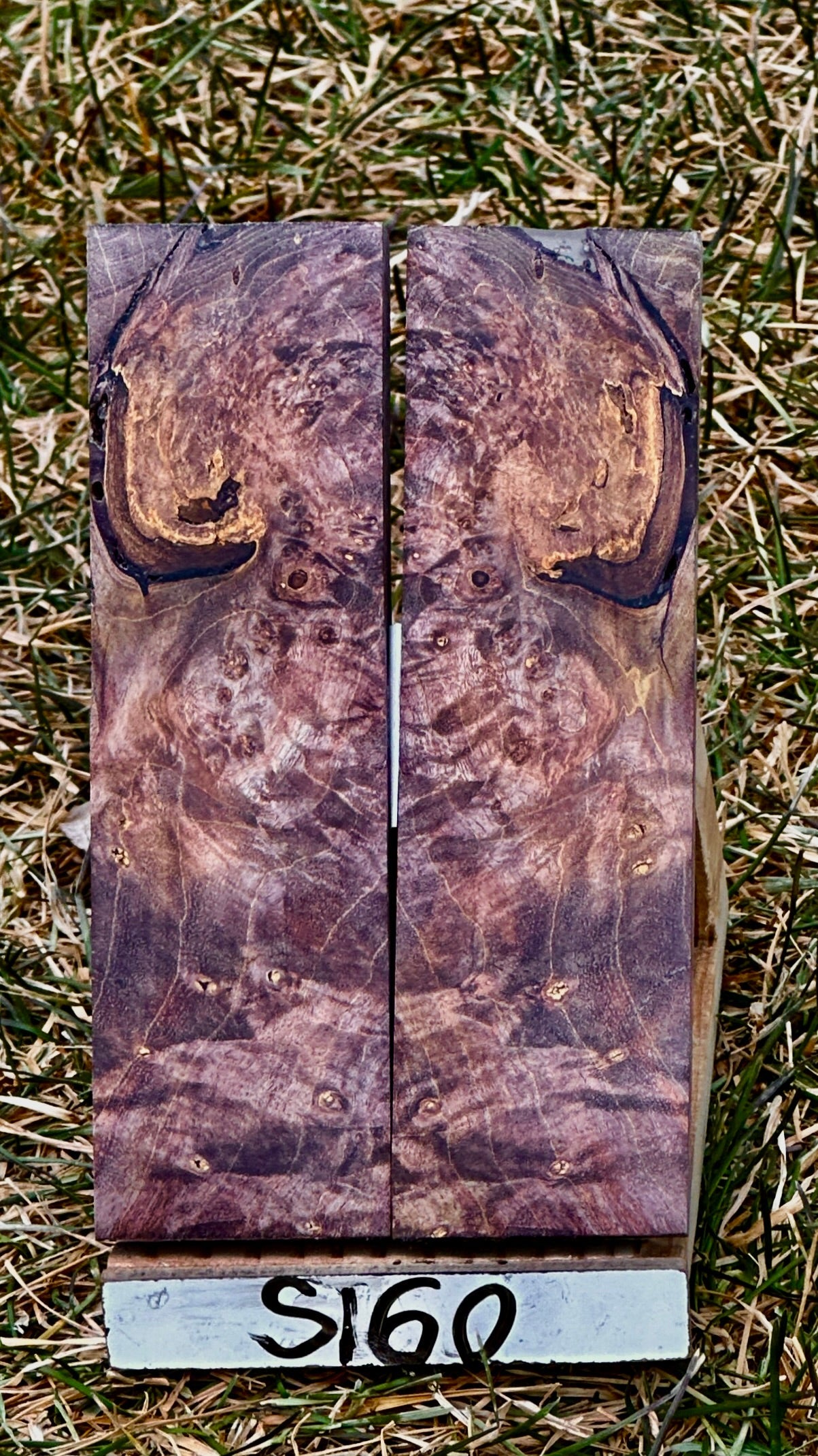 buckeye-scales-s160
