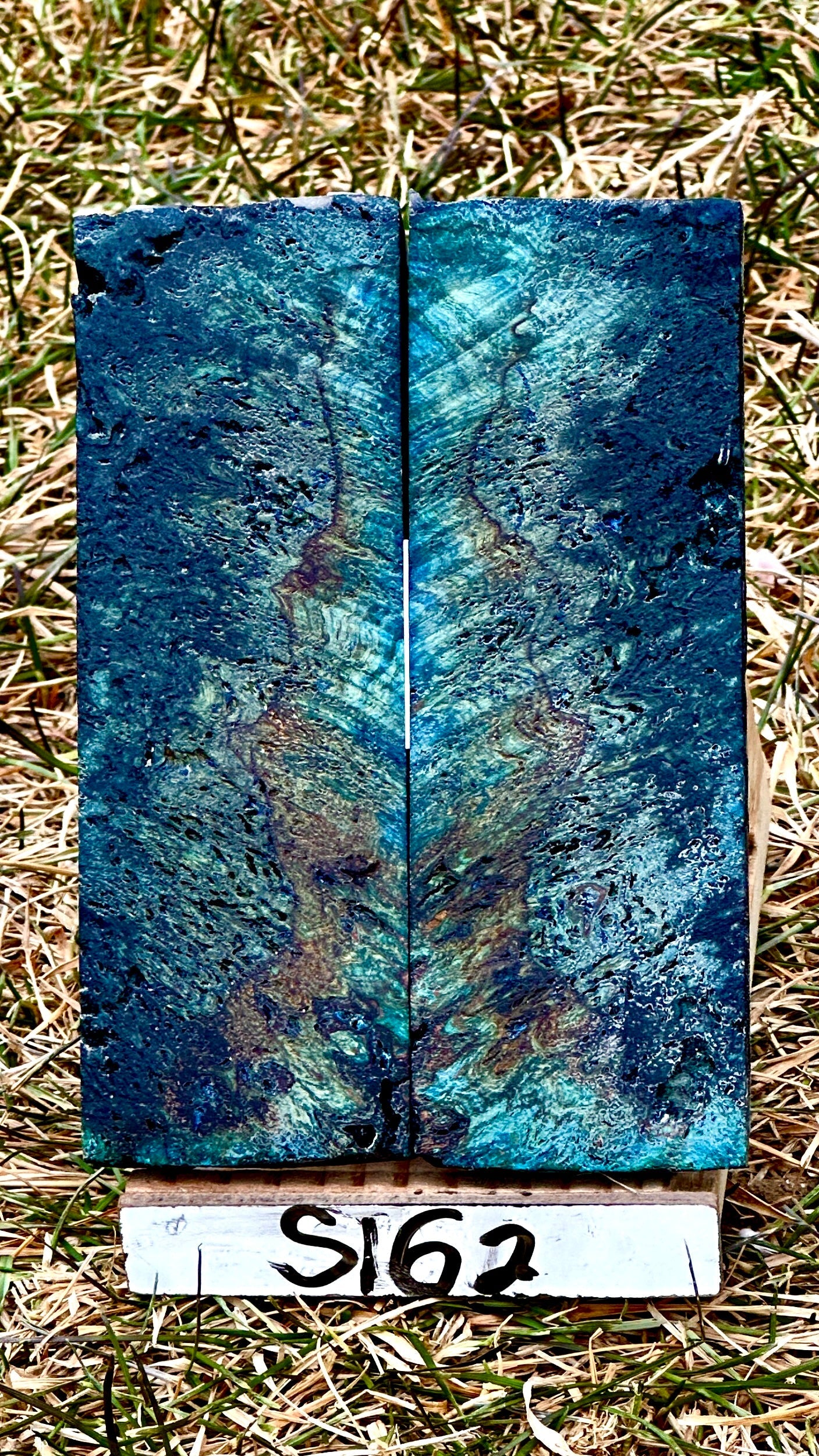 buckeye-scales-s162