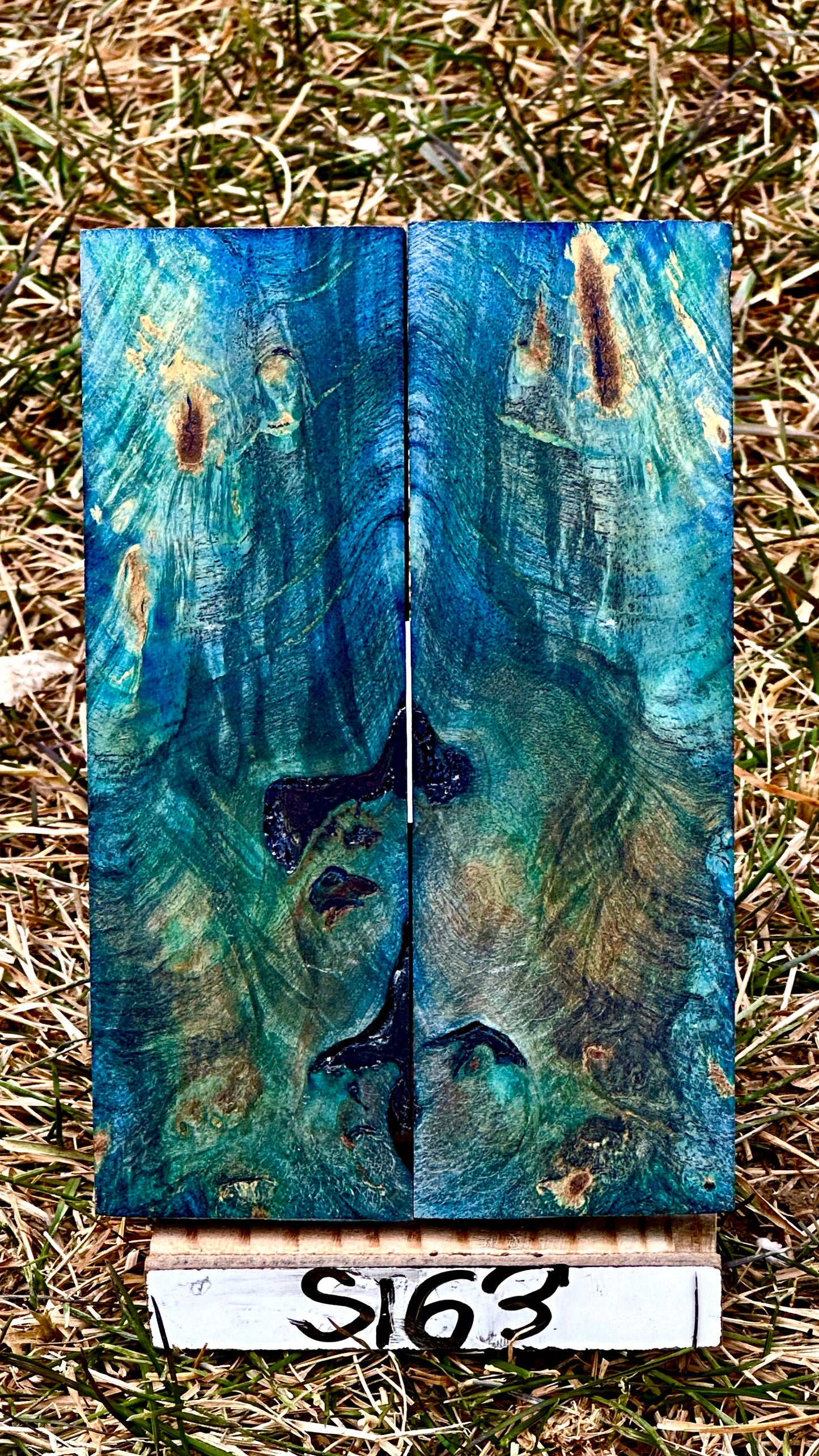 buckeye-scales-s163