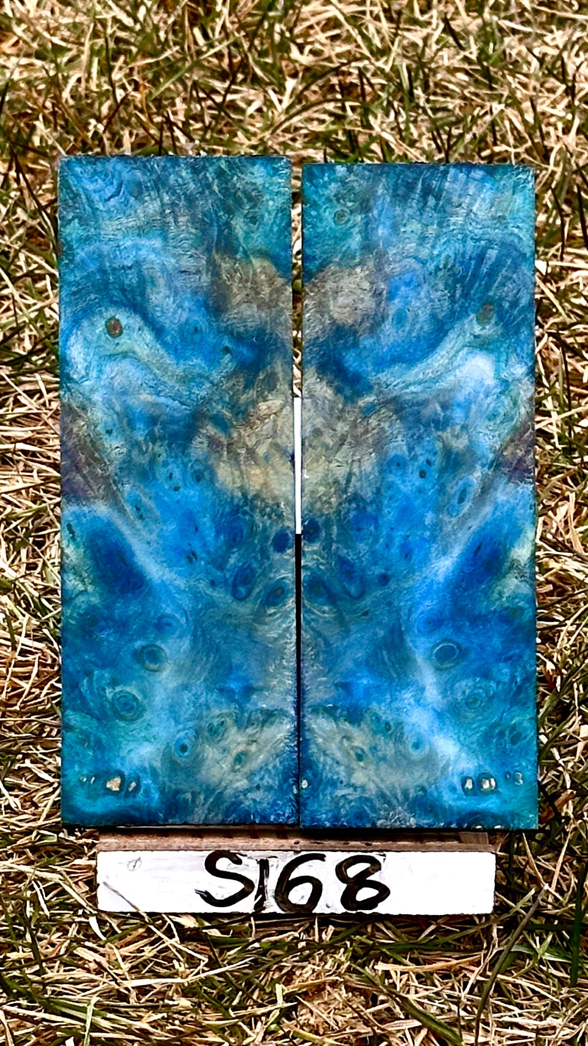 buckeye-scales-s168