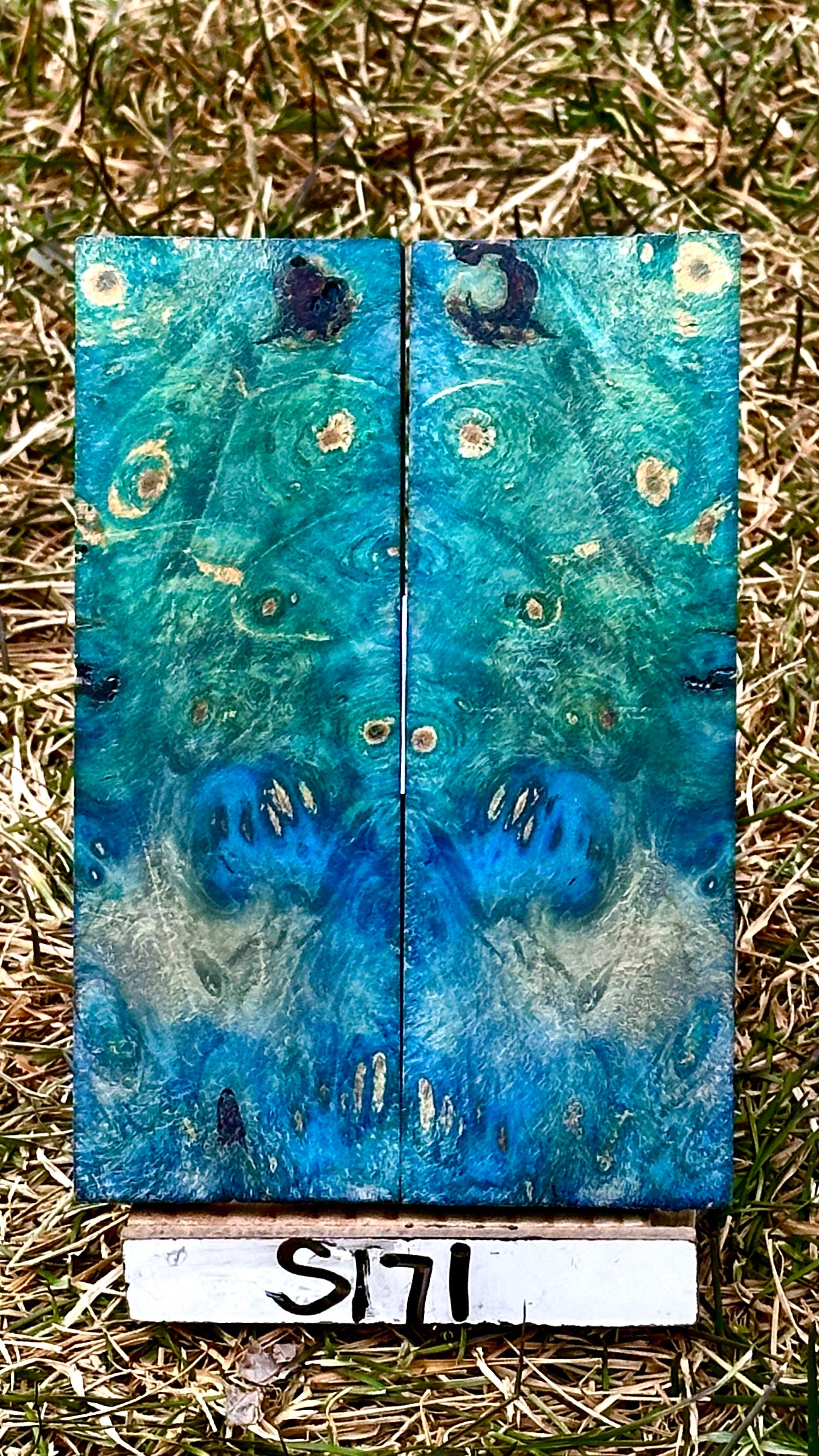 buckeye-scales-s171