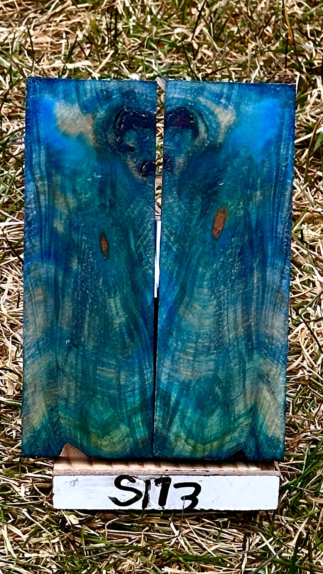 buckeye-scales-s173