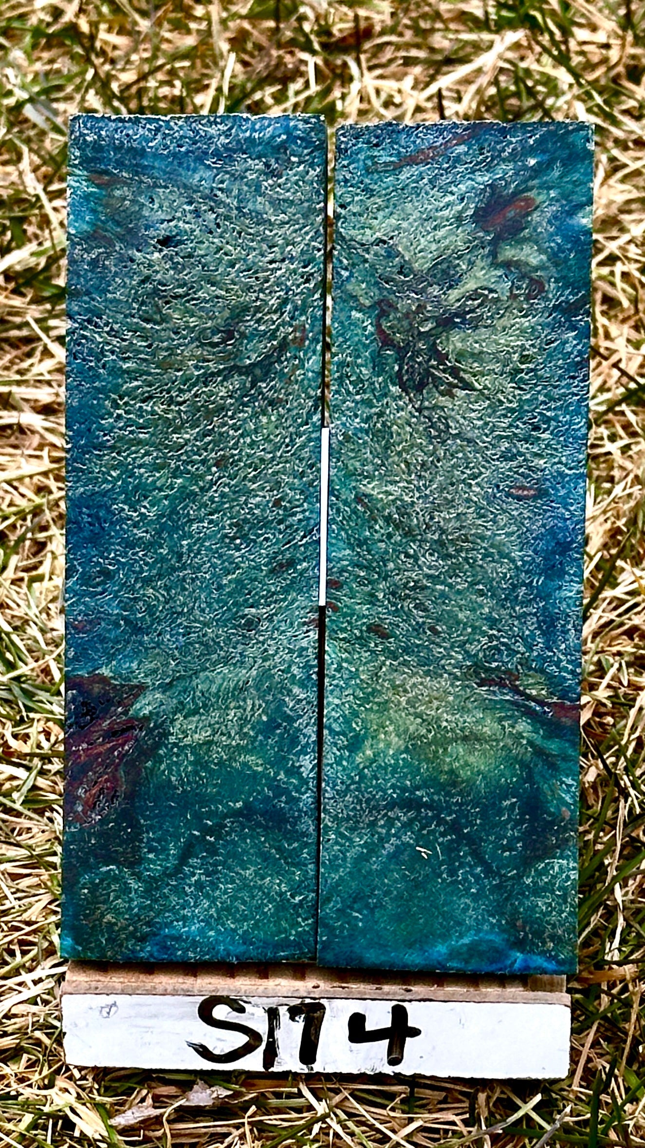 buckeye-scales-s174