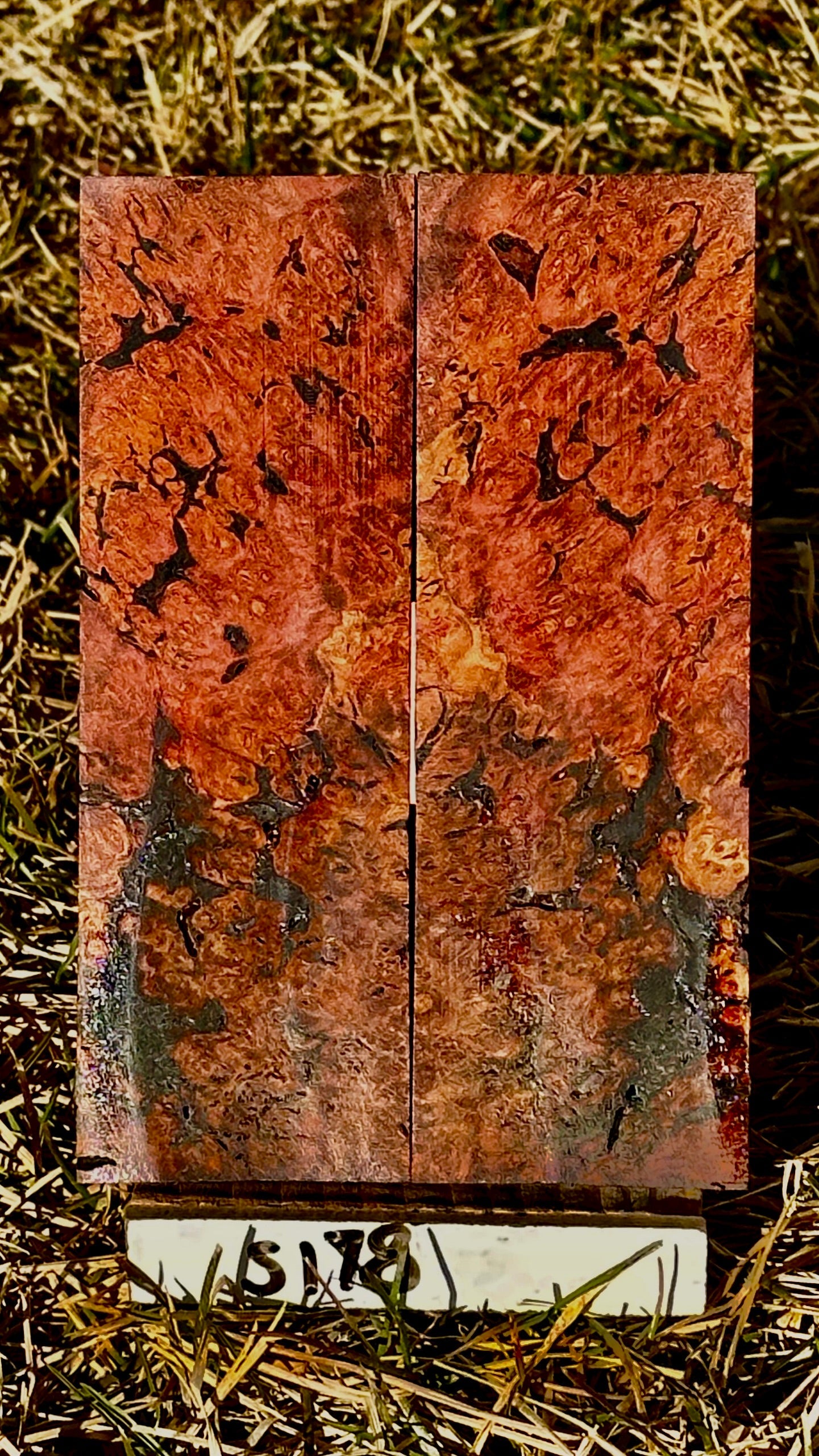 buckeye-scales-s178
