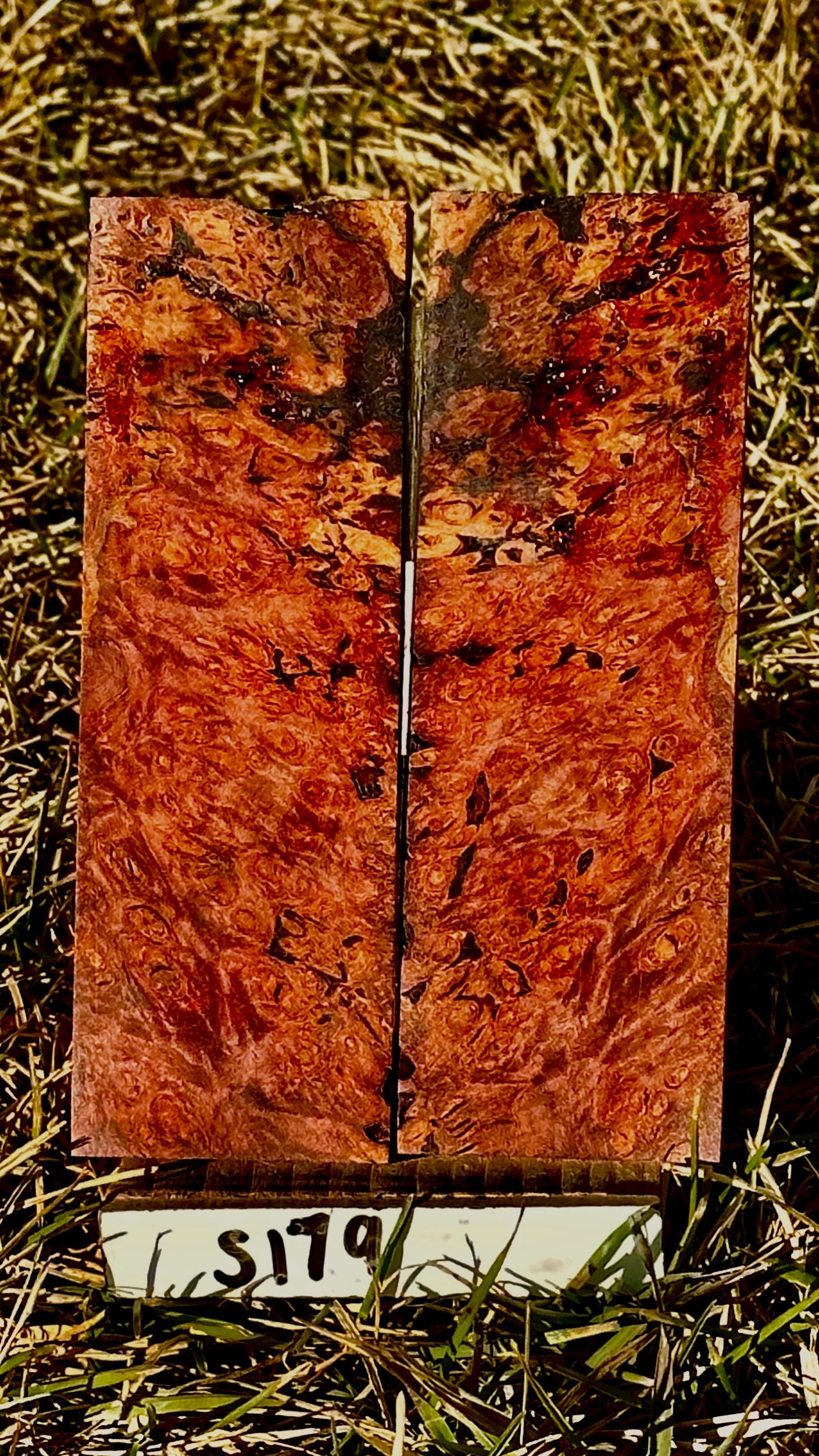 buckeye-scales-s179