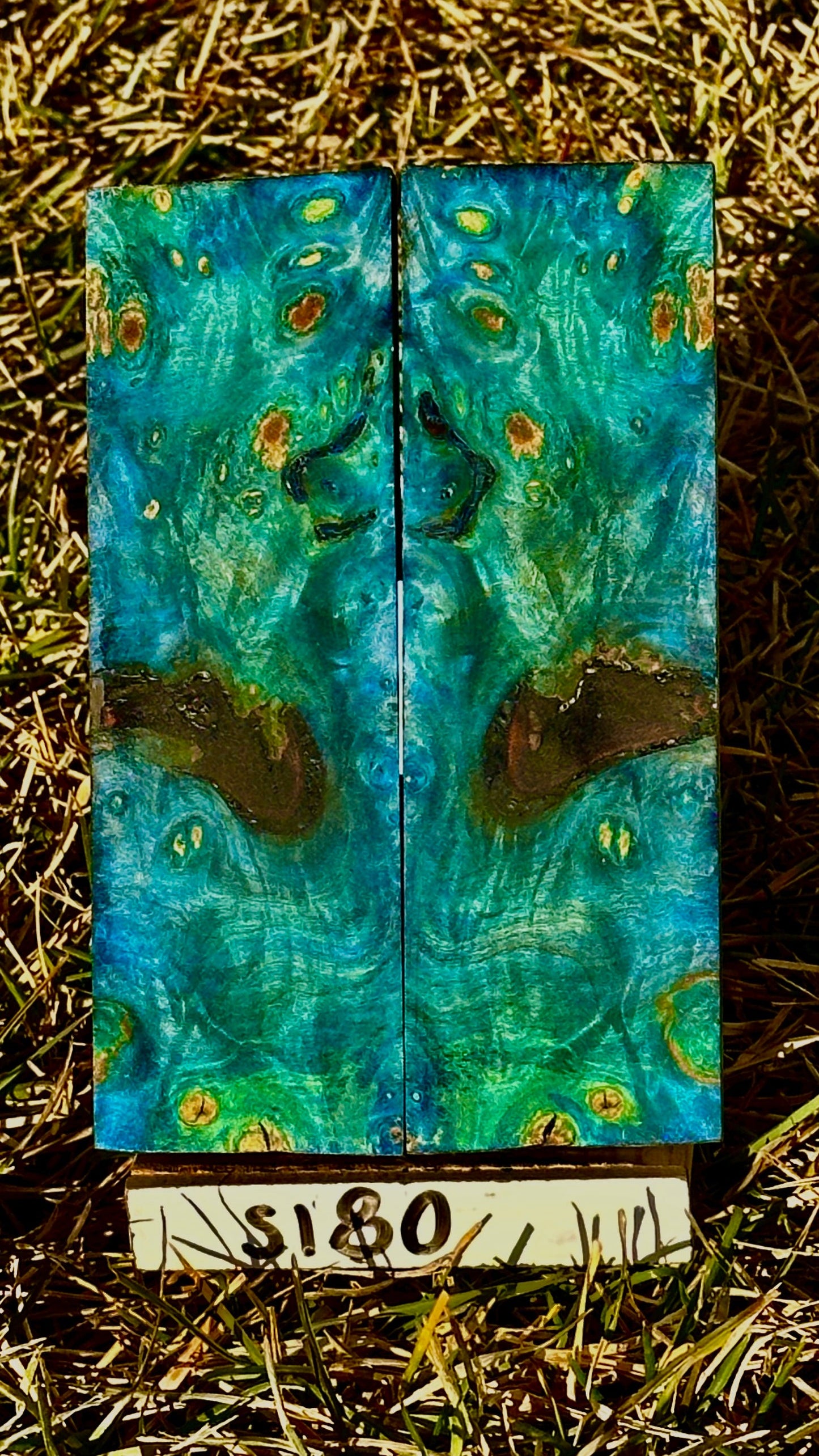 buckeye-scales-s180