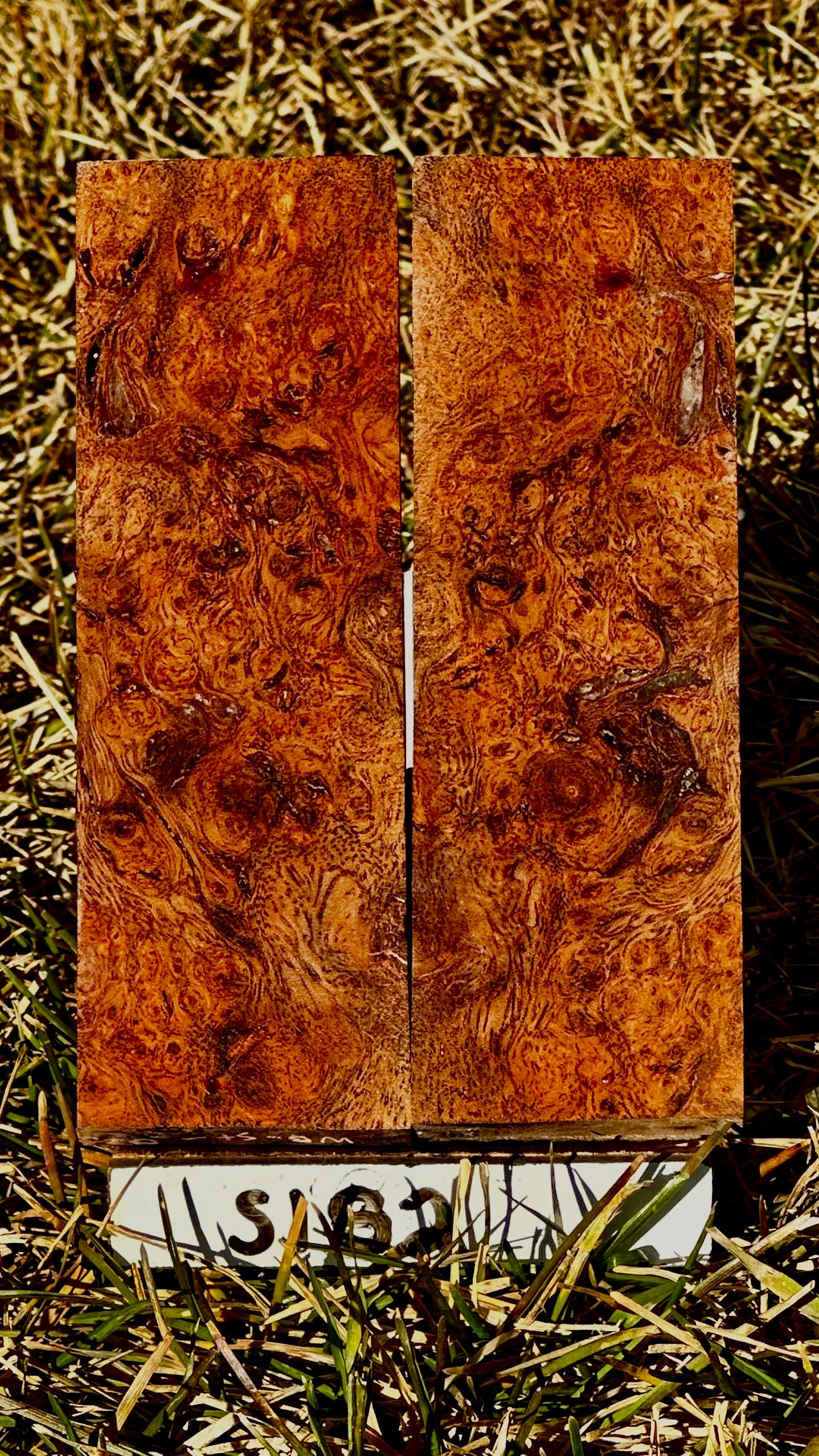 buckeye-scales-s182
