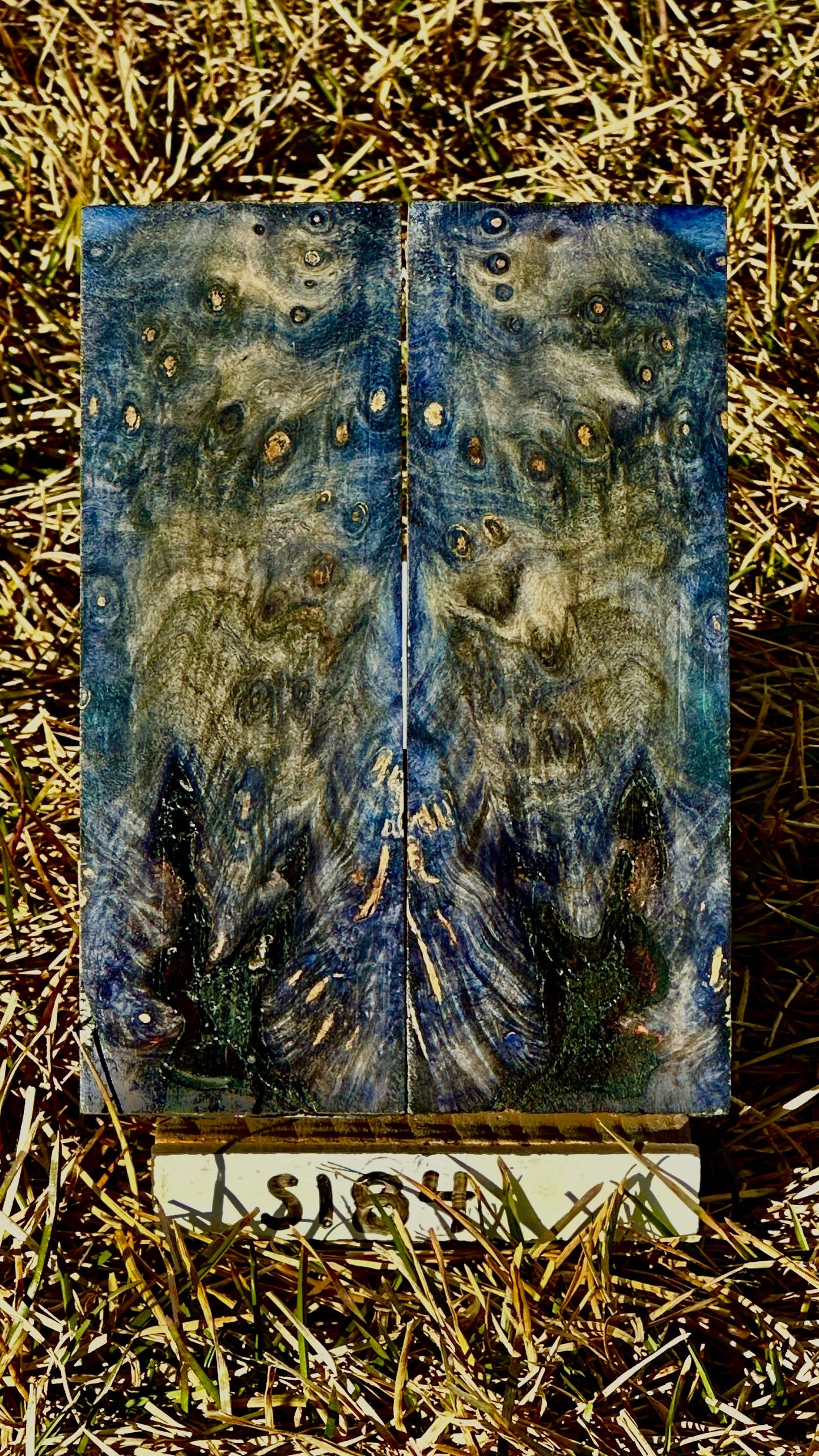buckeye-scales-s184