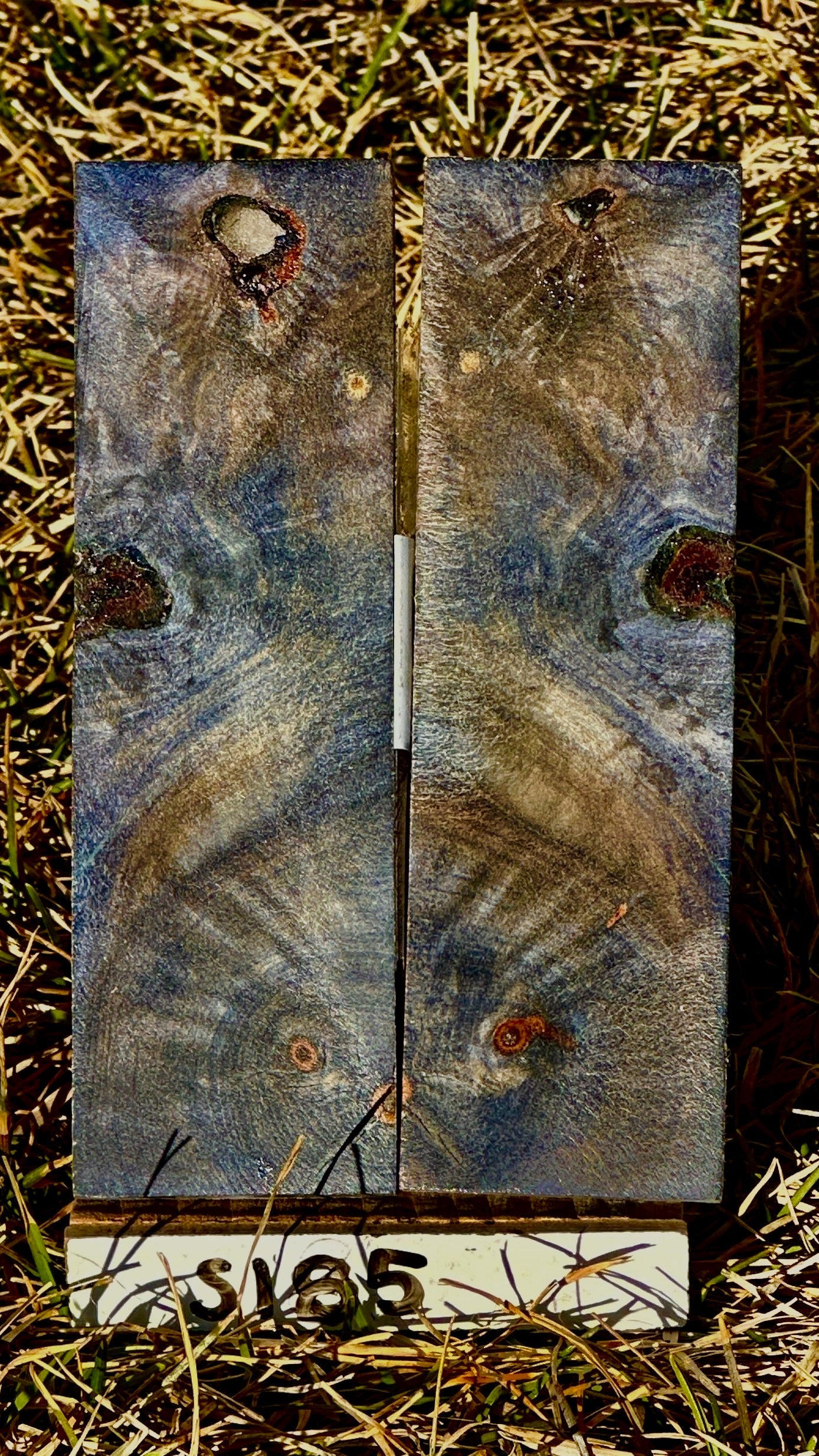 buckeye-scales-s185