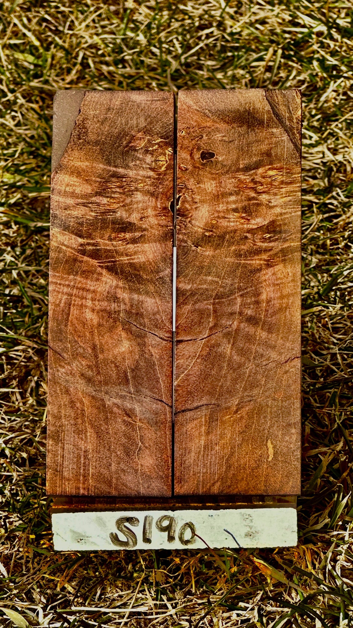 buckeye-scales-s190