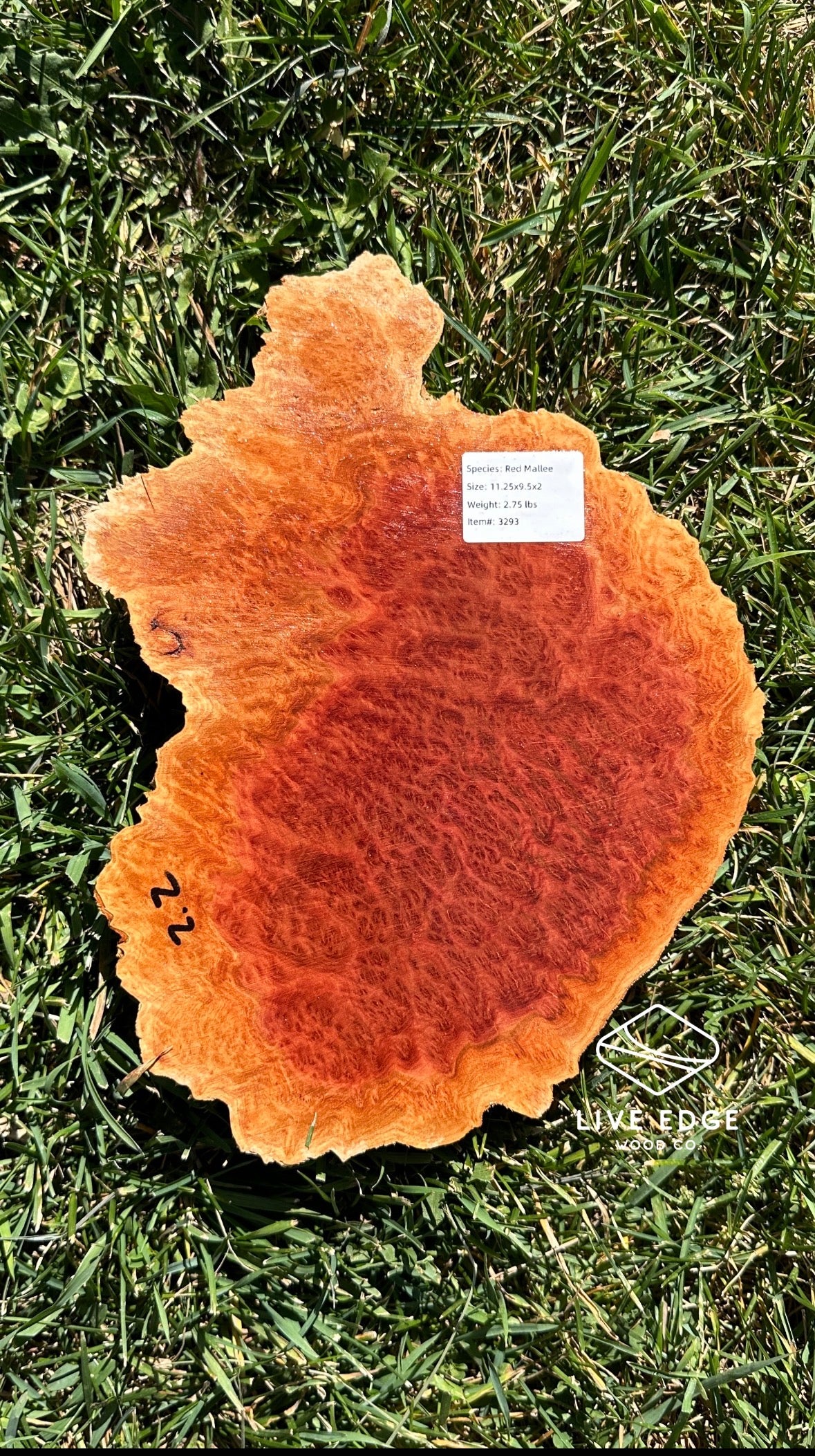 Red Mallee Burl Cap #3293