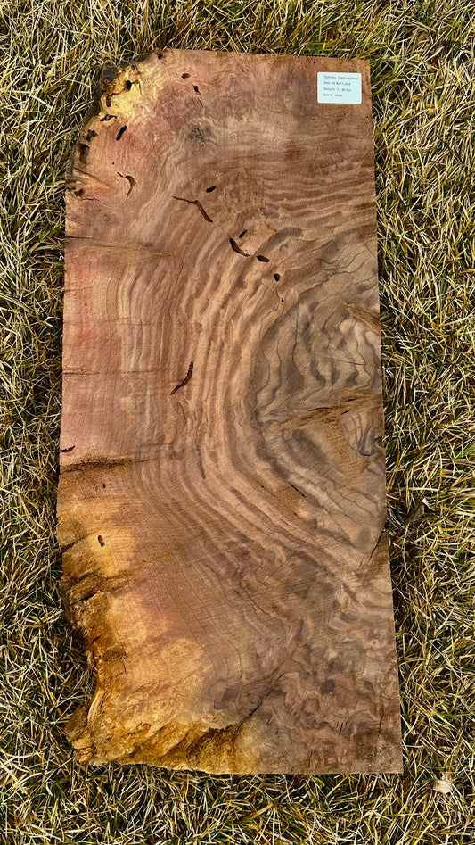 Claro Walnut Burl Block #3346