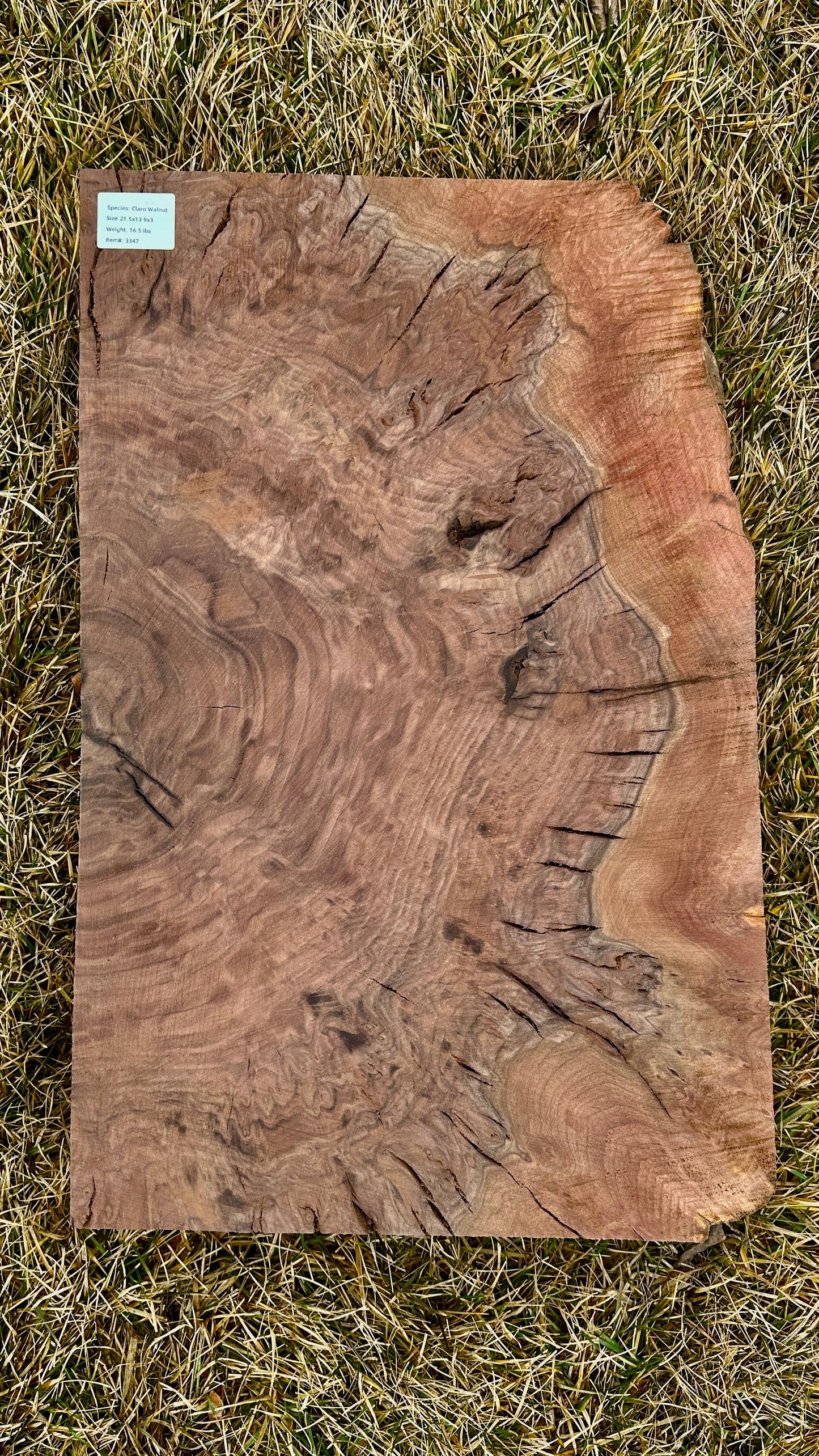 Claro Walnut Burl Block #3347
