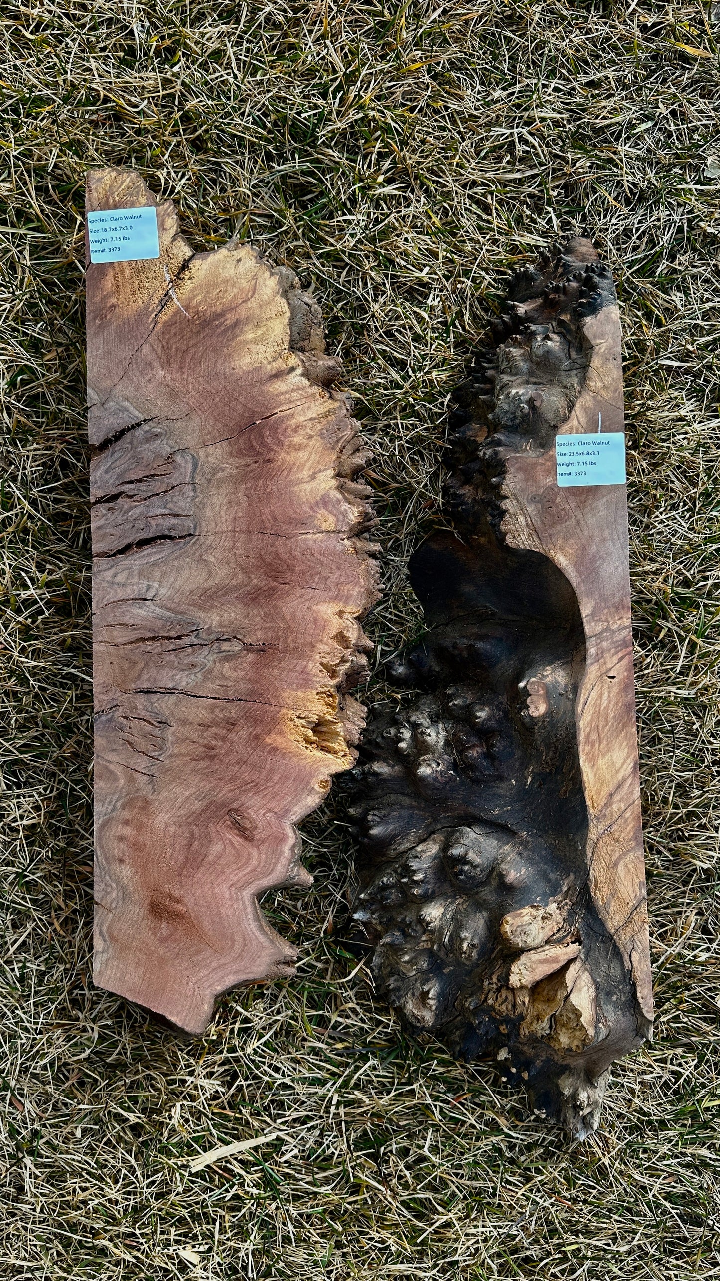 Claro Walnut Burl Set #3373