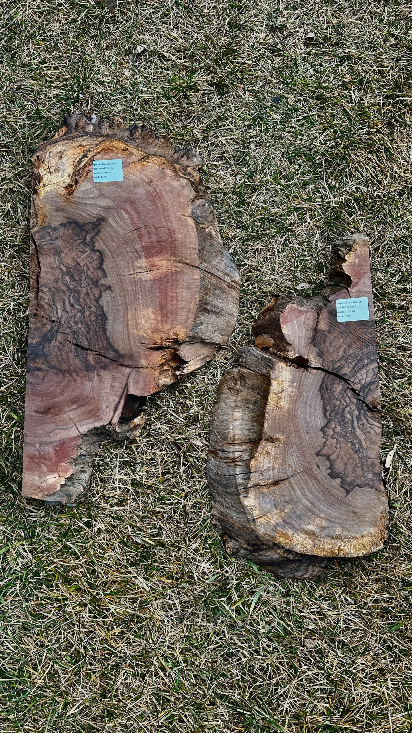 Claro Walnut Burl Set #3379