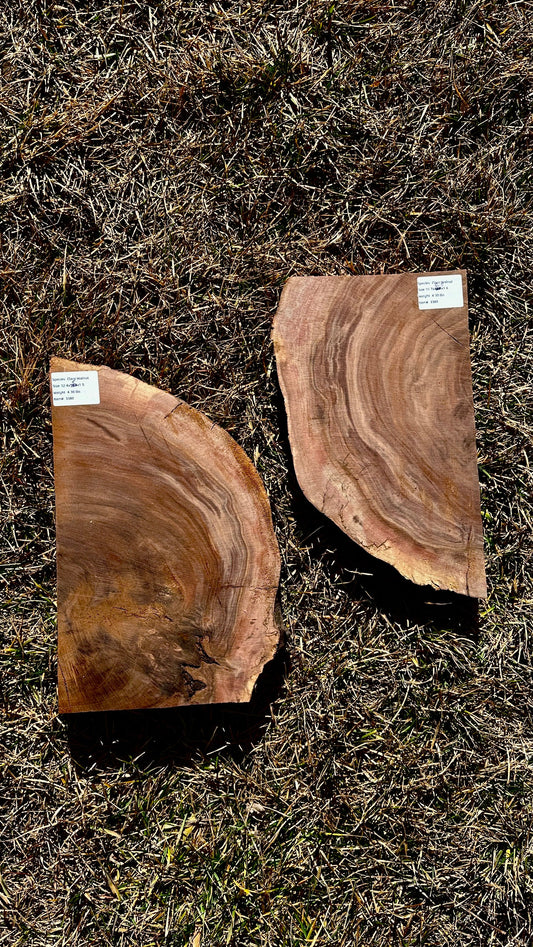 Claro Walnut Burl Set #3380