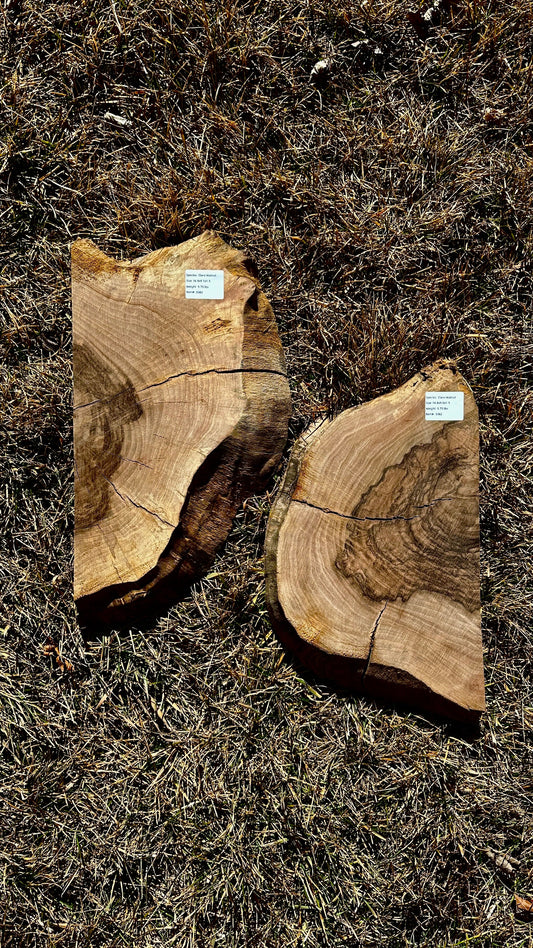 Claro Walnut Burl Set #3382