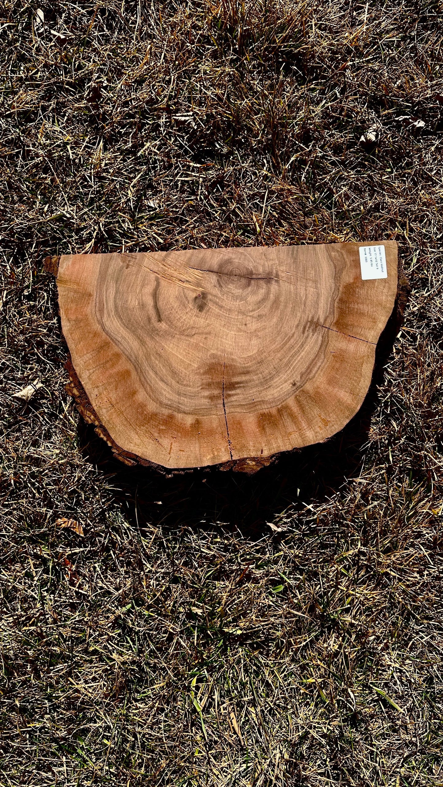 Claro Walnut Burl Half #3383