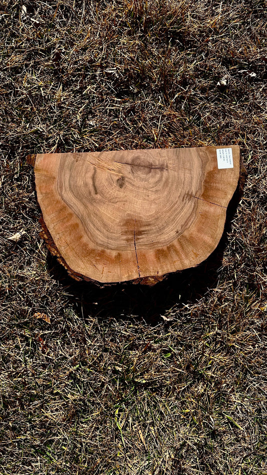 Claro Walnut Burl Half #3383