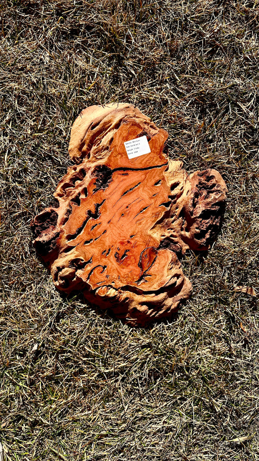 Red Gum Burl Small Full #3384