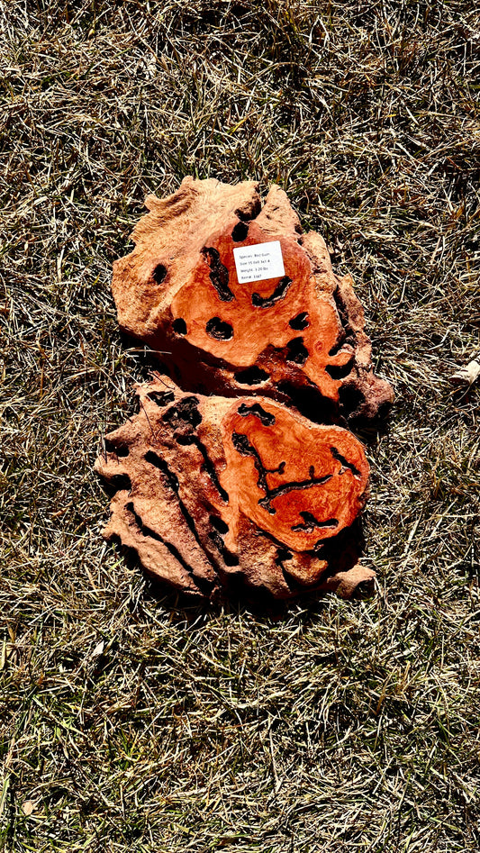 Red Gum Burl Small Full #3387