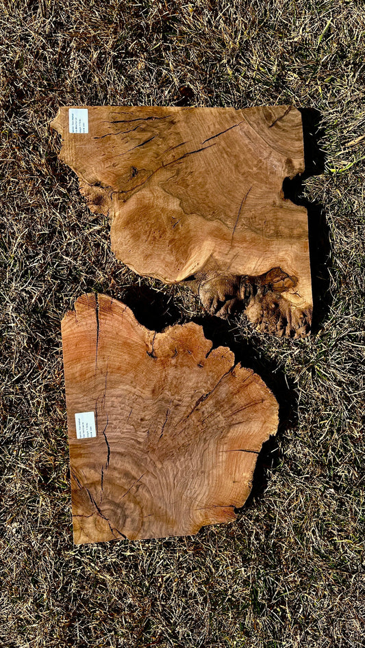 Claro Walnut Burl Set #3391