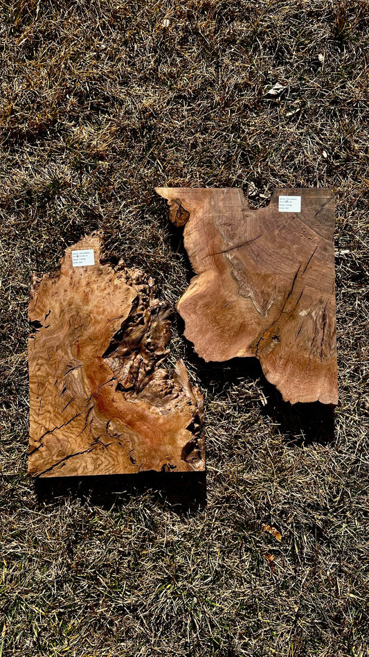 Claro Walnut Burl Set #3393