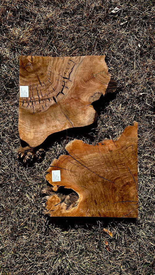Claro Walnut Burl Set #3394