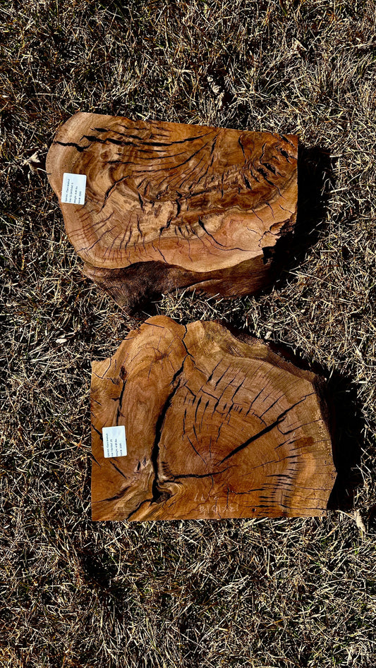 Claro Walnut Burl Set #3395