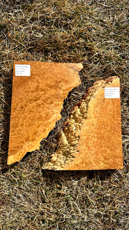 Brown Mallee Burl Set #3410