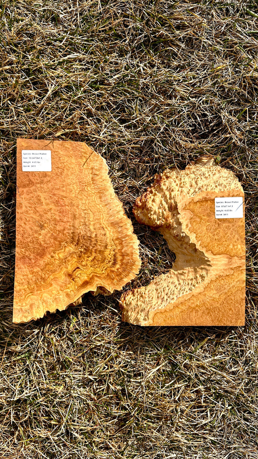 Brown Mallee Burl Set #3411
