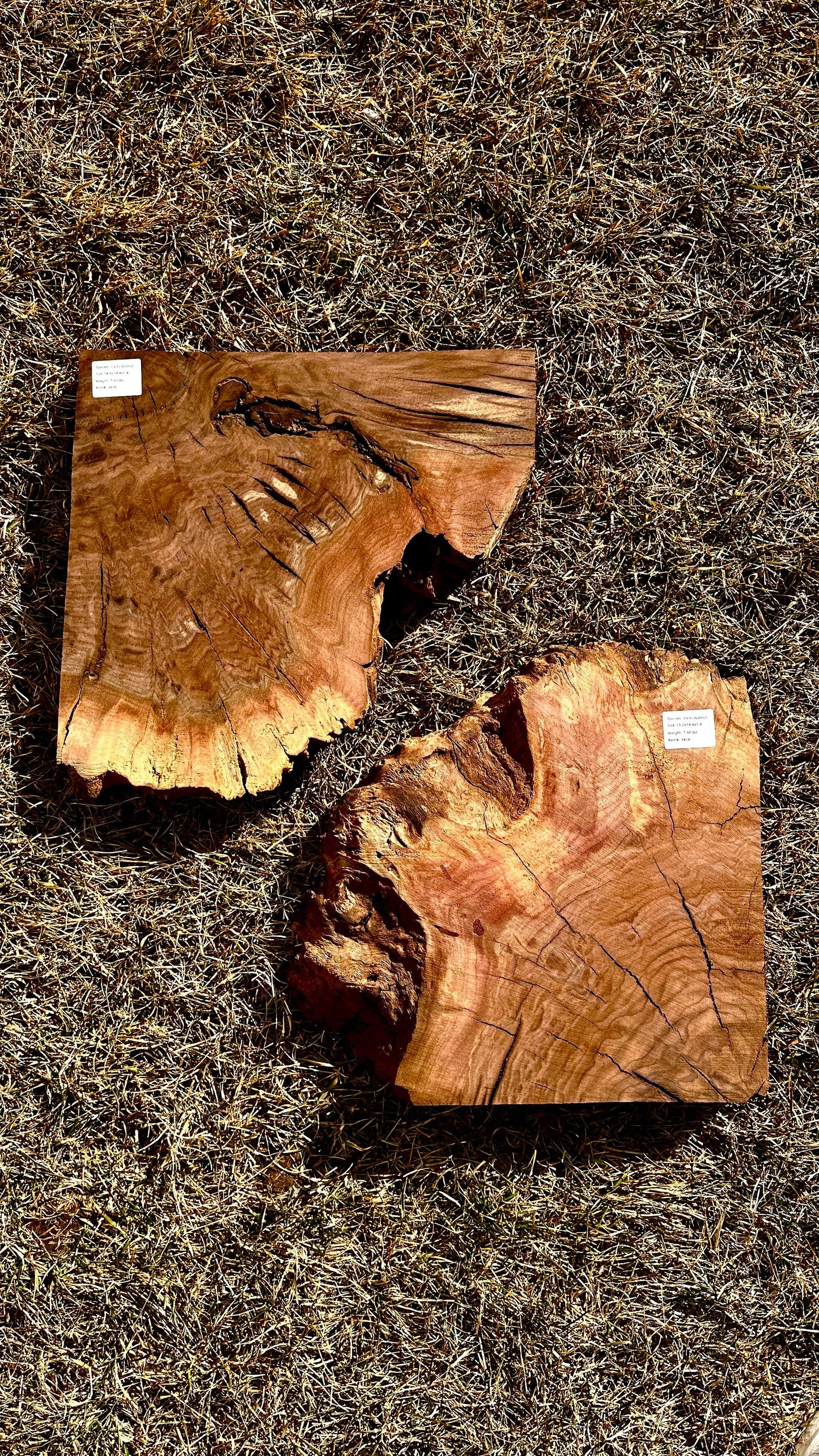 Claro Walnut Burl Set #3418