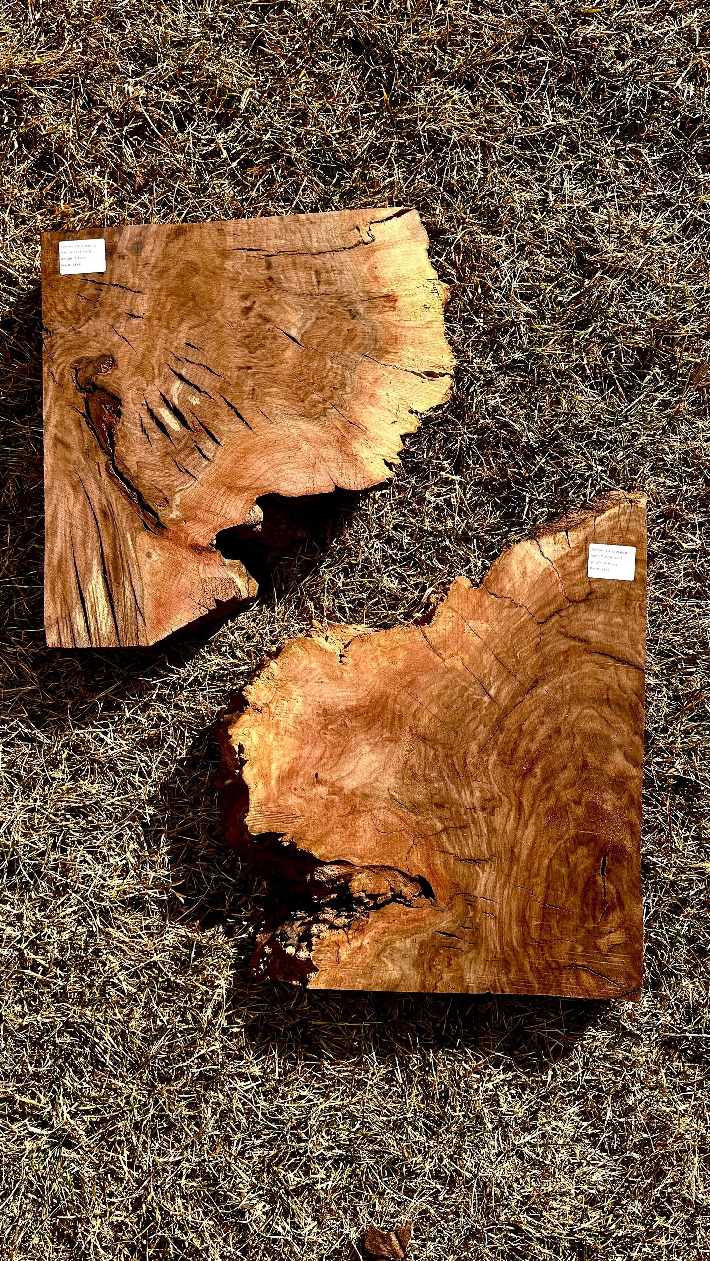 Claro Walnut Burl Set #3419