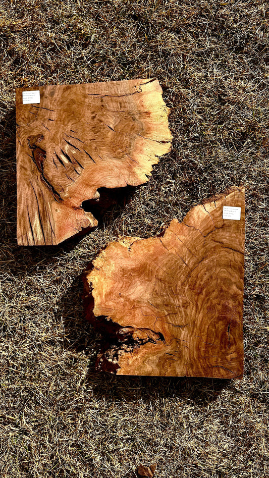 Claro Walnut Burl Set #3419