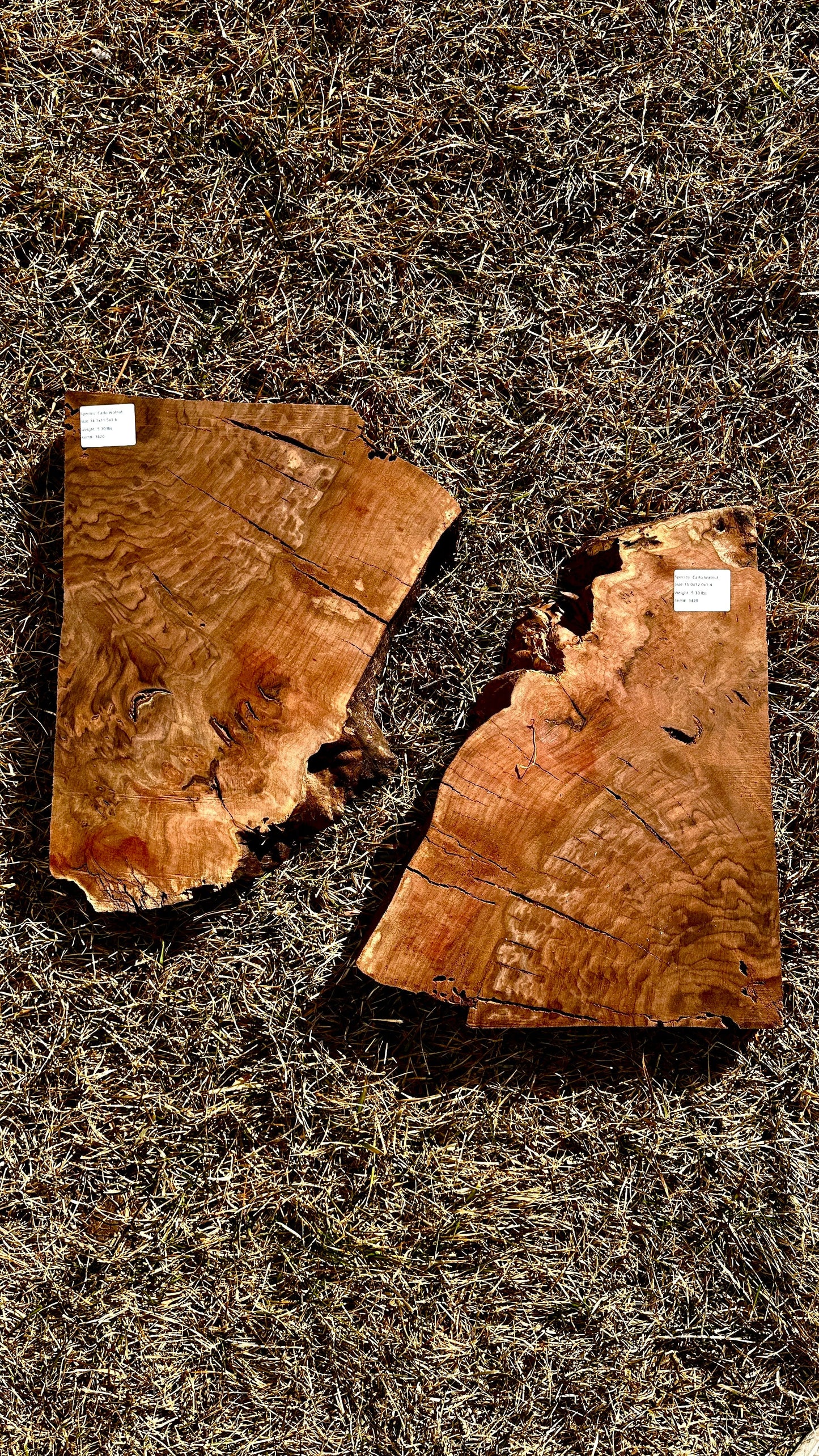 Claro Walnut Burl Set #3420