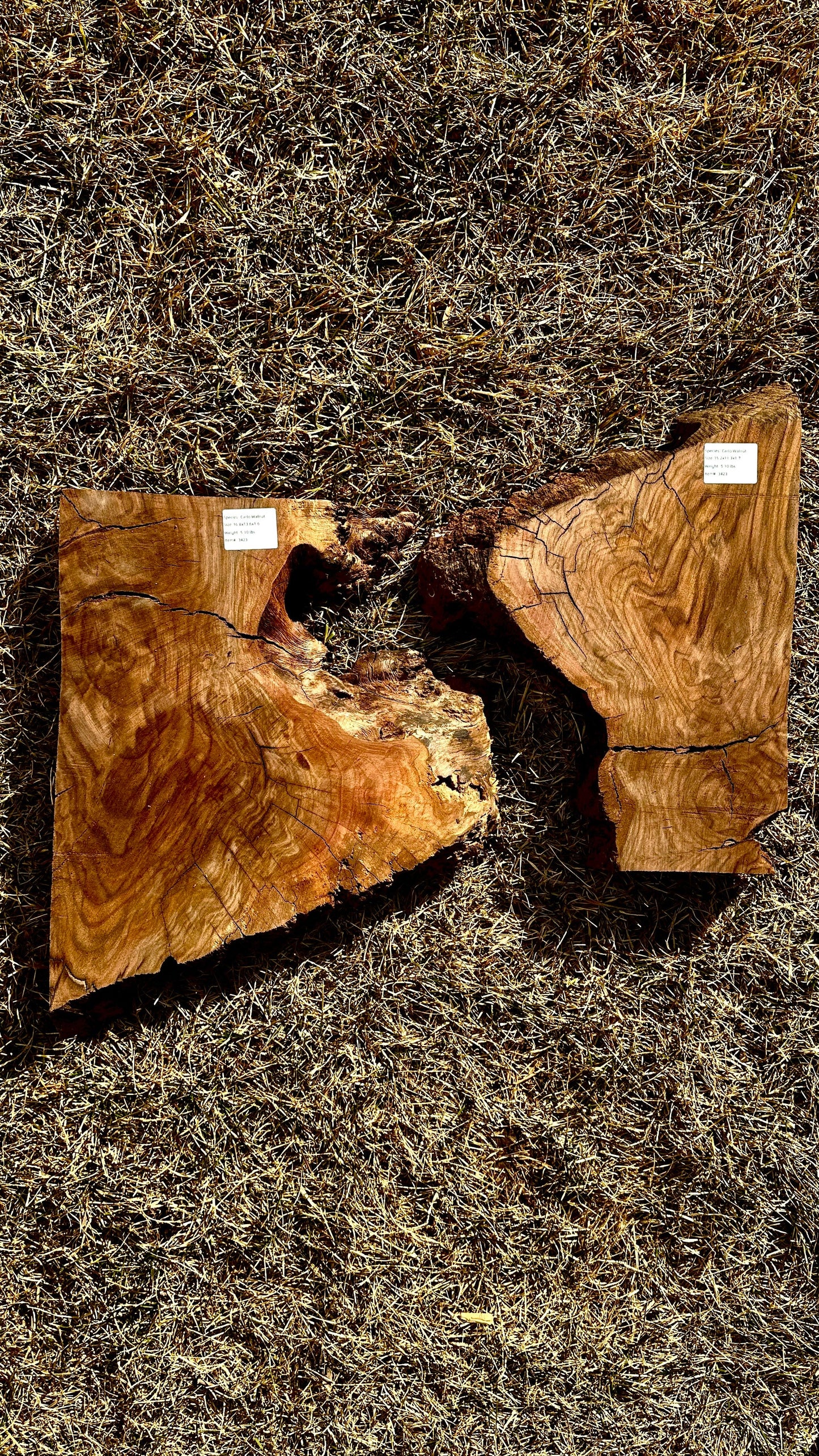 Claro Walnut Burl Set #3423