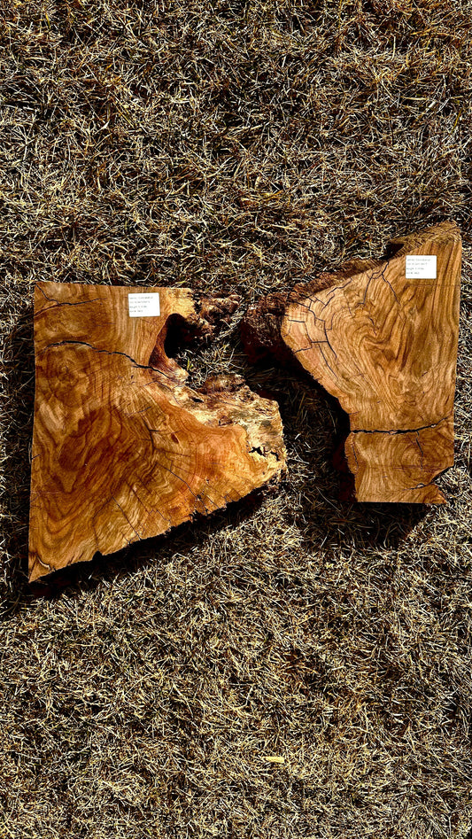 Claro Walnut Burl Set #3423