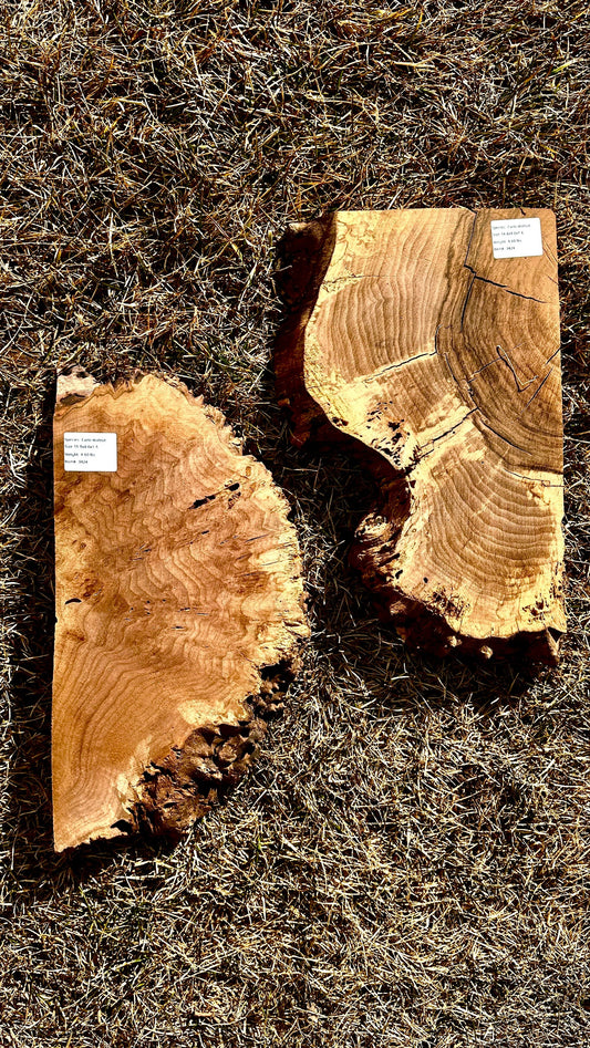 Claro Walnut Burl Set #3424