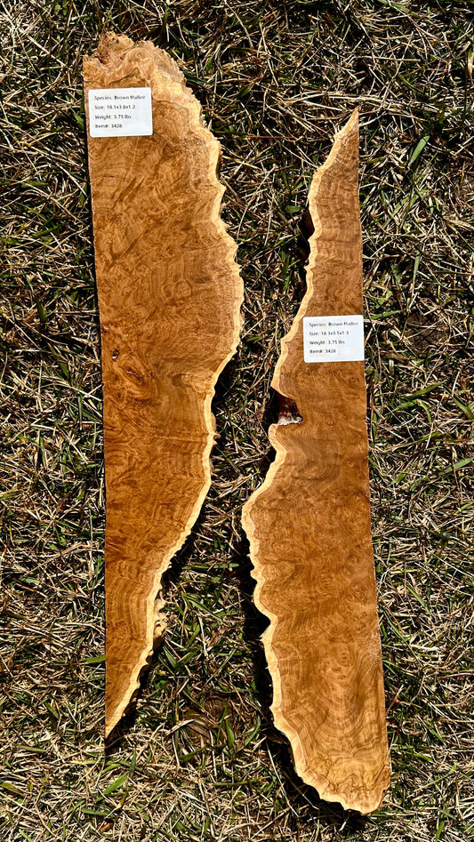 Brown Mallee Burl Set #3428