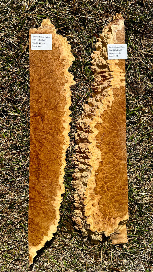 Brown Mallee Burl Set #3435