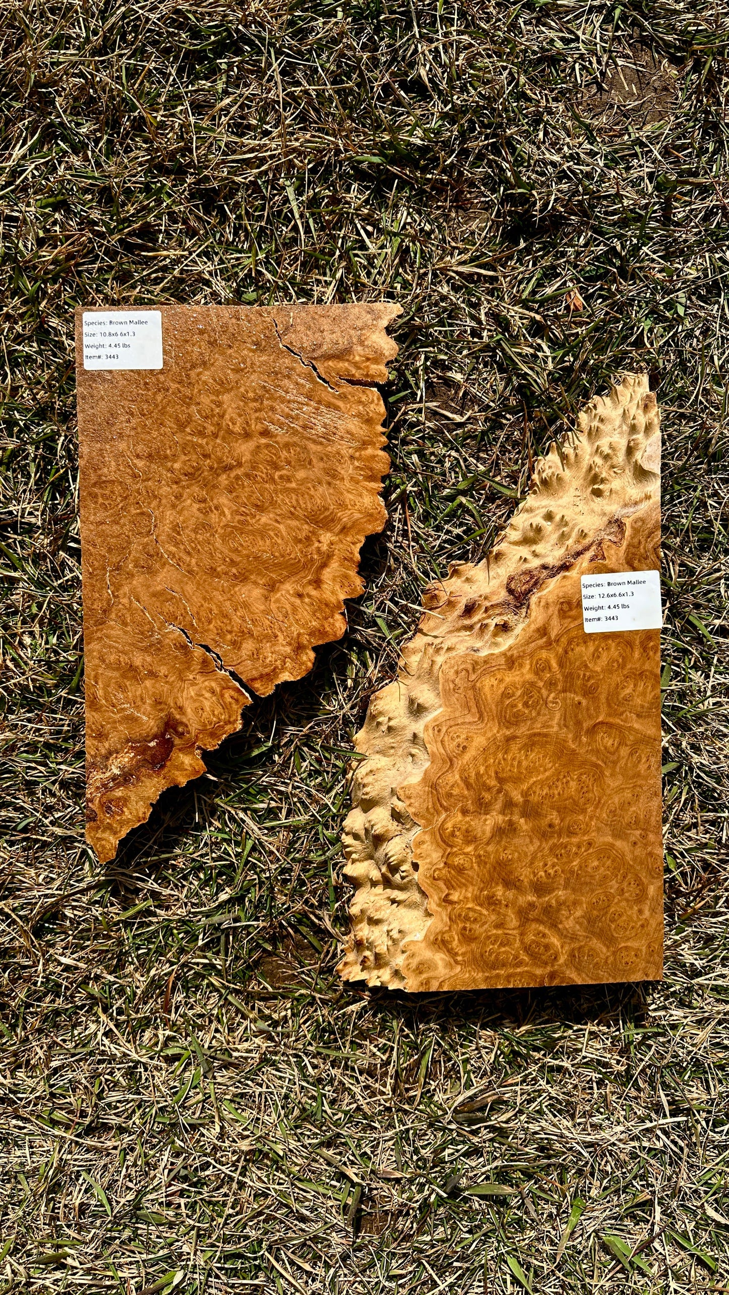 Brown Mallee Burl Set #3443