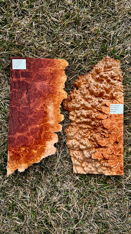 Red Mallee Burl Set #3448