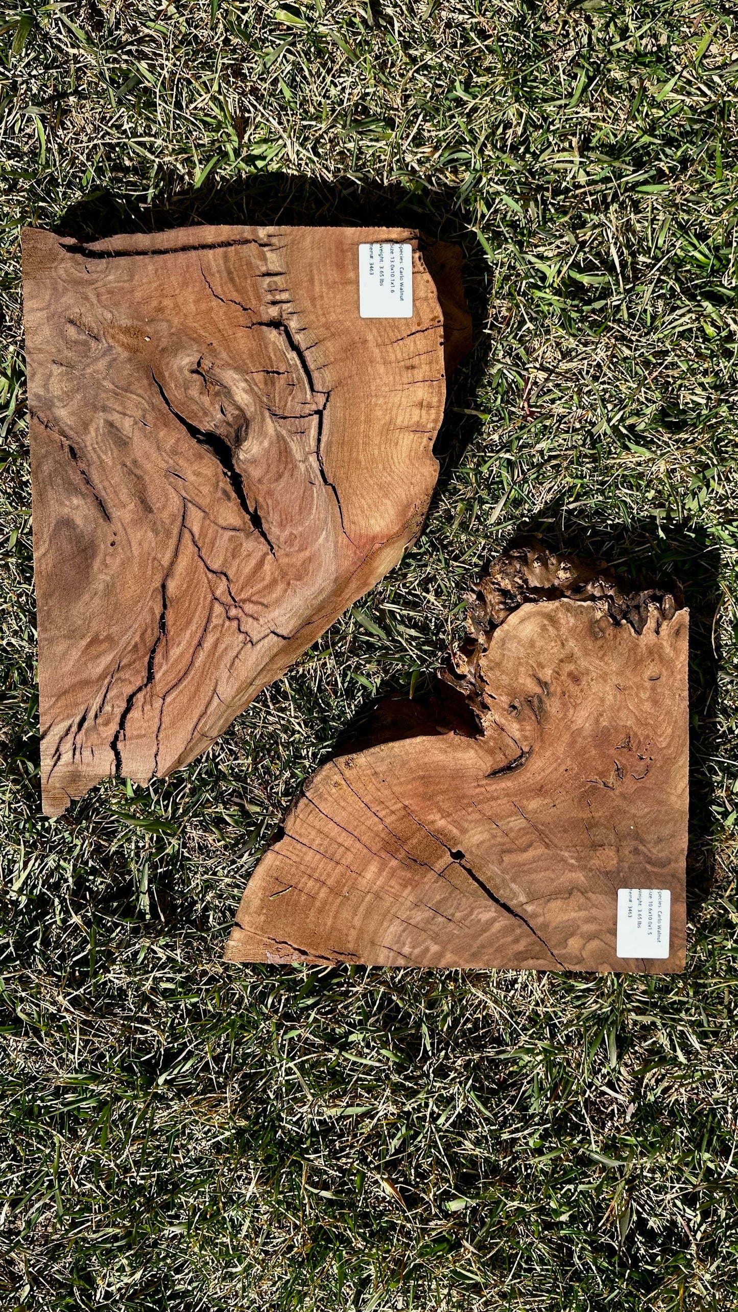 Claro Walnut Burl Set #3463