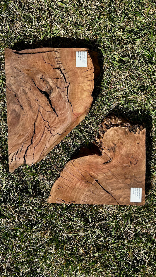 Claro Walnut Burl Set #3463