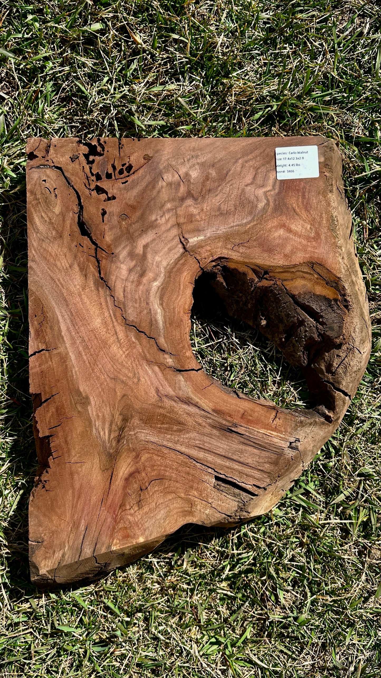 Claro Walnut Burl Quarter #3466
