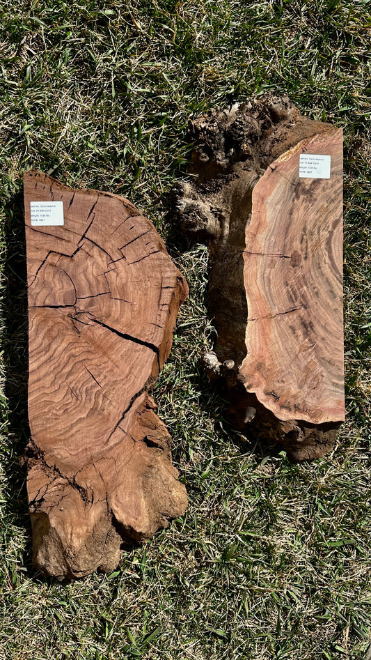 Claro Walnut Burl Set #3467