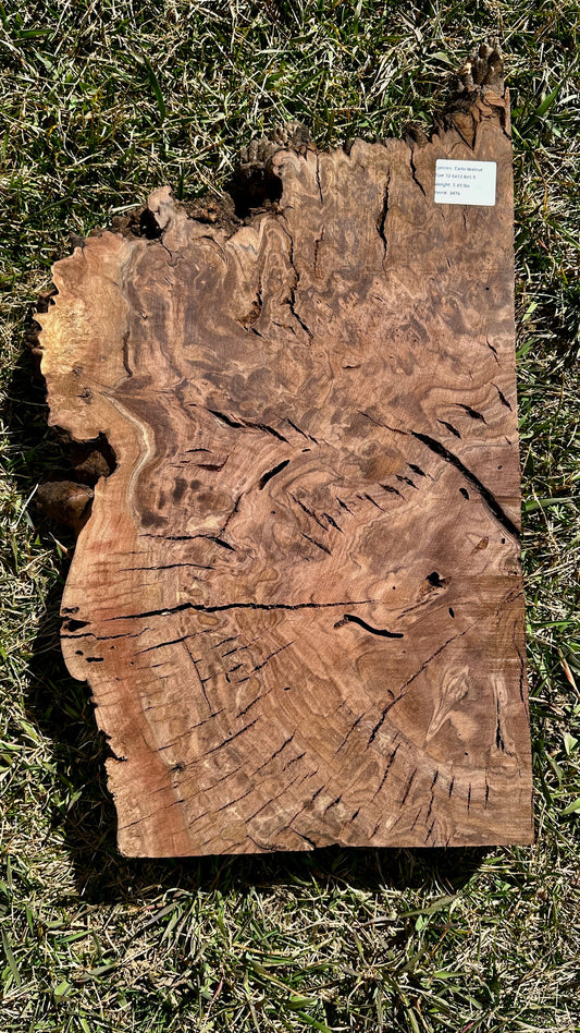 Claro Walnut Burl Quarter #3476