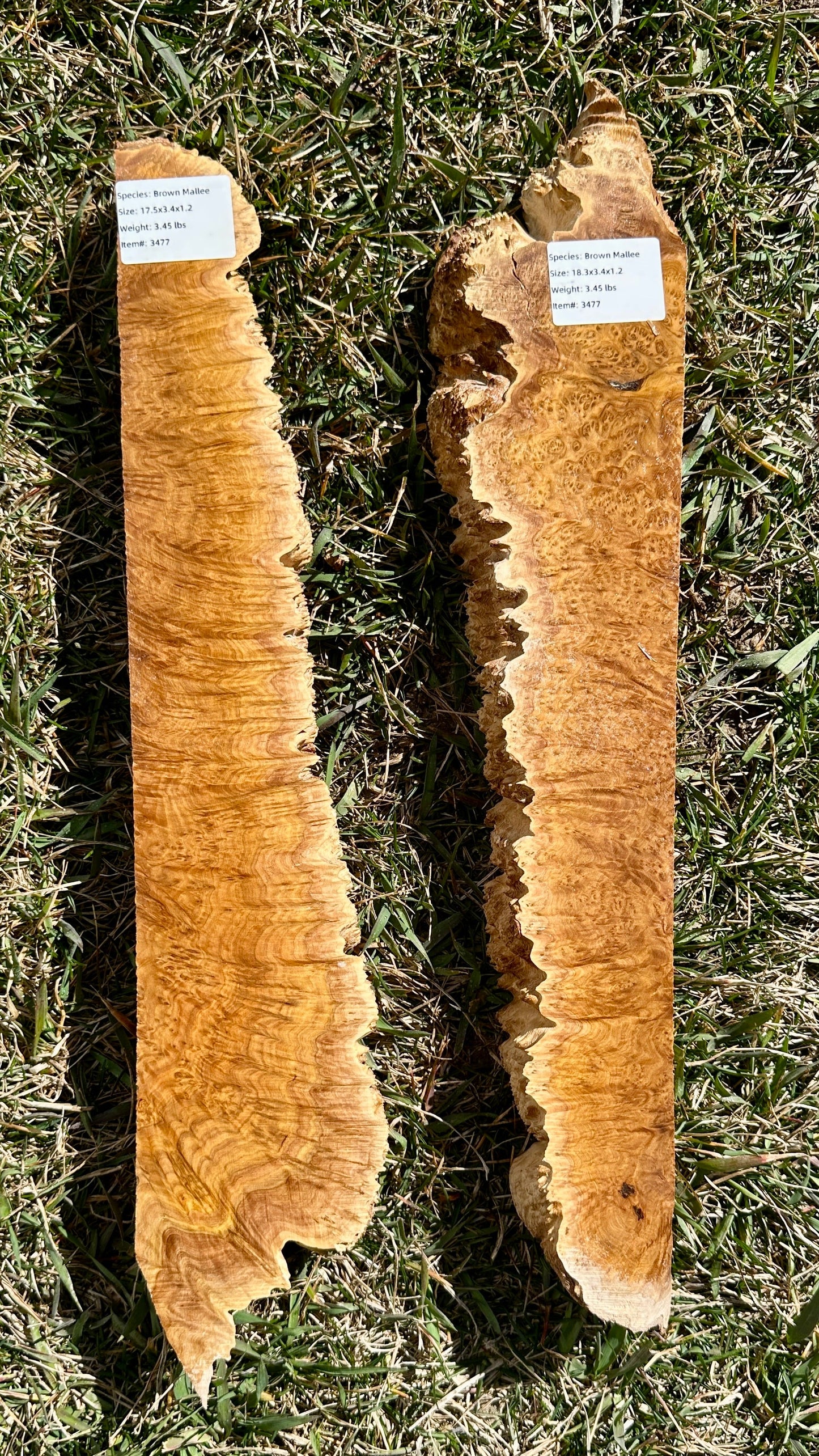 Brown Mallee Burl Set #3477