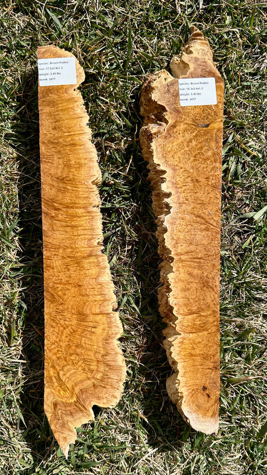 Brown Mallee Burl Set #3477