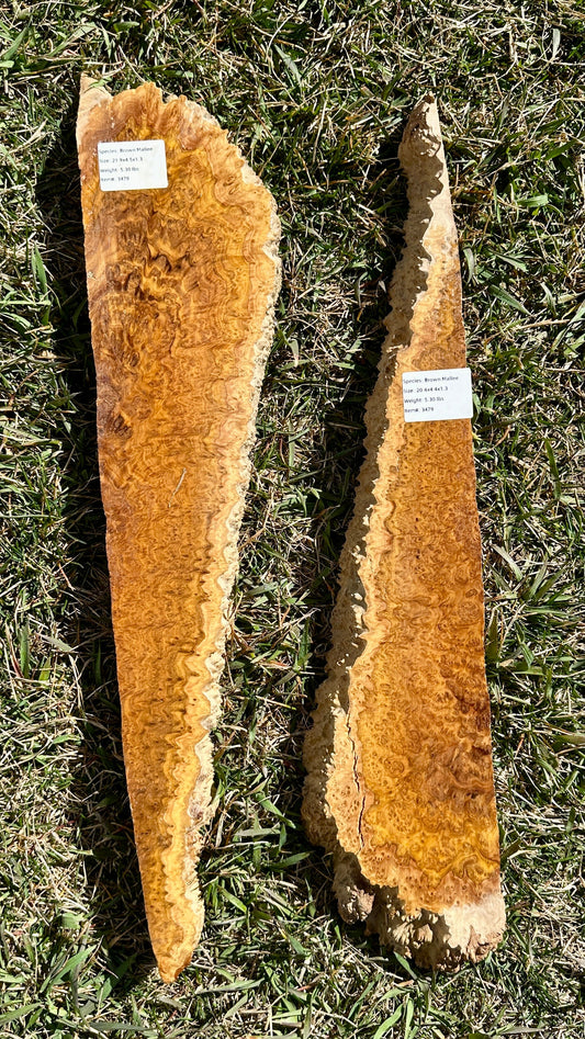 Brown Mallee Burl Set #3479